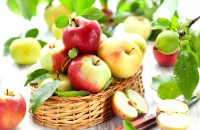 Хабаровчане отметят «Яблочный Спас» на городской набережной