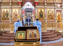 IMG_9782.jpg