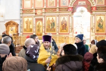 IMG_7706.jpg