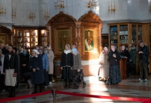 IMG_7350.jpg