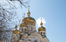IMG_7621.jpg